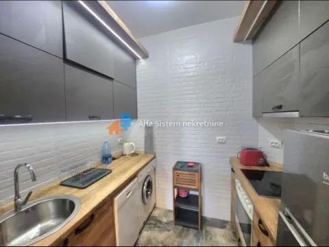 Izdavanje, dvosoban stan, 55m², Savski Venac, Beograd - image 7