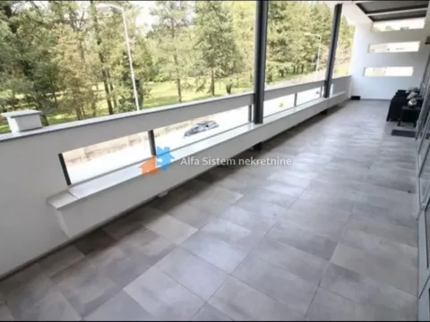 Izdavanje, četvorosoban stan, 250m², Savski Venac, Beograd - image 10
