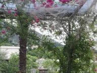 Prodaja, kuća, 60m², Sutomore, Bar - image 6