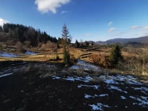 Sale, land lot, 4390m², Tara, Srbija - image 9