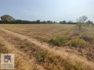 Prodaja, plac, 64m², Skela, Obrenovac - image 5