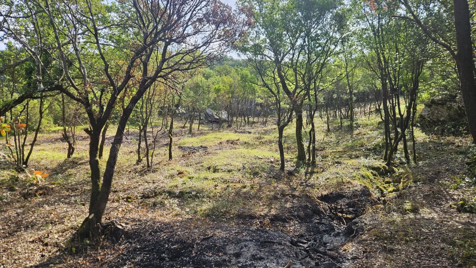 Prodaja, plac, 500m², Mojdež, Herceg Novi