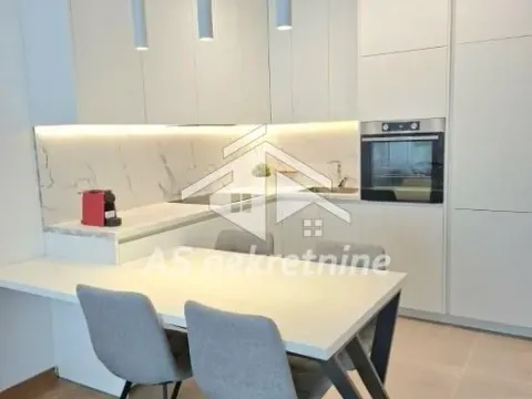 Izdavanje, dvosoban stan, 55m², Tašmajdan, Palilula Sve Podlokacije - image 3