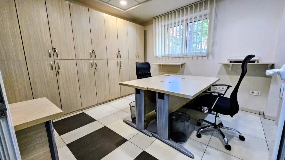 Rent, office space, 318m², Profesorska Kolonija, Palilula Sve Podlokacije