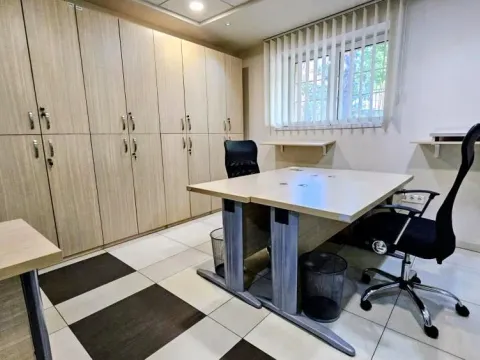 Rent, office space, 318m², Profesorska Kolonija, Palilula Sve Podlokacije - image 12