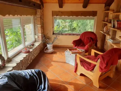 Prodaja, kuća, 587m², Sremska Kamenica, Petrovaradin - image 18