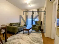 Izdavanje, jednosoban stan, 46m², Tološka šuma, Podgorica - image 4