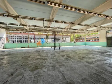 Izdavanje, poslovni prostor, 770m², Palilula Sve Podlokacije, Beograd - image 6