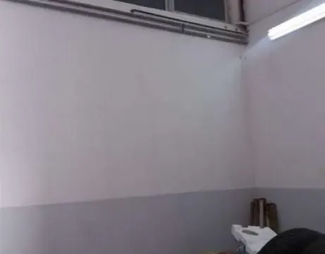 Izdavanje, poslovni prostor, 200m², Zemun Sve Podlokacije, Beograd - image 8