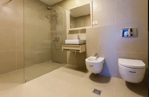 Modern bathroom with a walk-in shower, washbasin, and sanitary fixtures. - image 12