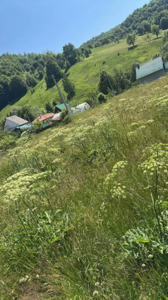 Prodaja, plac, 800m², Veruša, Podgorica