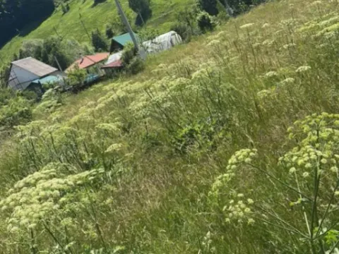 Prodaja, plac, 800m², Veruša, Podgorica - image 4