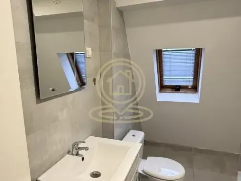 Izdavanje, poslovni prostor, 80m², Zemun Sve Podlokacije, Beograd - image 10