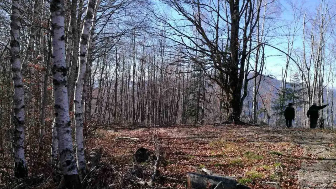 Sale, land lot, 138000m², Kolašin, Crna Gora