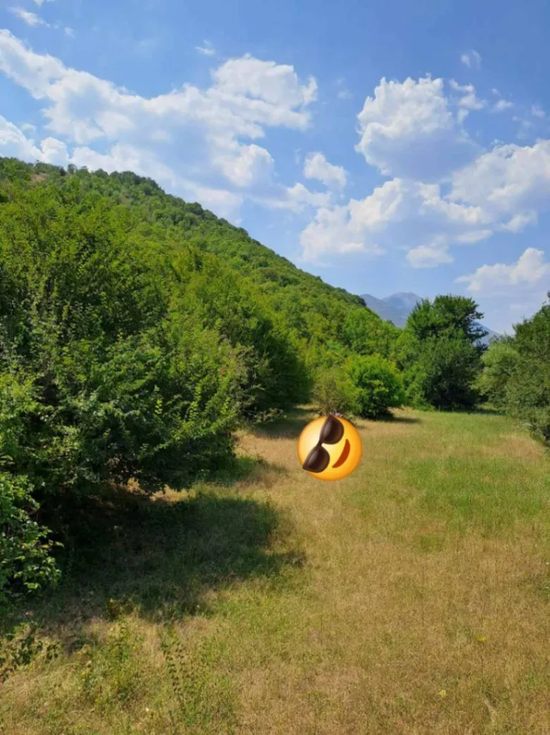 Sale, land lot, 20000m², Zagarač, Danilovgrad