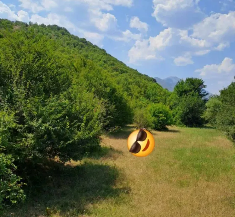 Prodaja, plac, 20000m², Zagarač, Danilovgrad