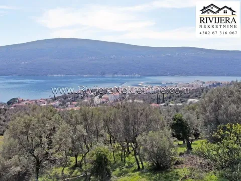 Prodaja, plac, 984m², Đenovići, Herceg Novi - image 6