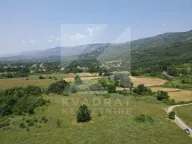 Prodaja, plac, 13849m², Pričelje, Podgorica - image 3