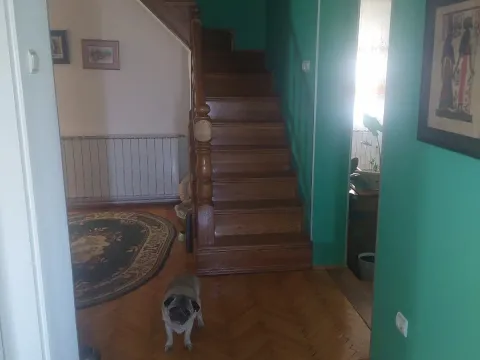 Sale, house, 366m², Klupci, Loznica - image 8