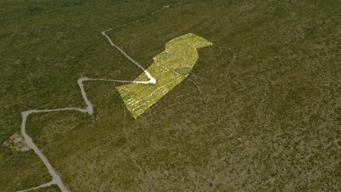 Prodaja, plac, 16234m², Glavatičići, Kotor - image 2