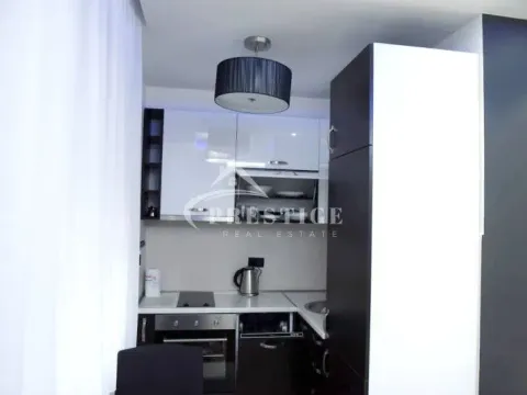 Izdavanje, jednosoban stan, 42m², Ljubović, Podgorica - image 4