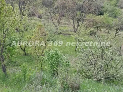 Prodaja, kuća, 77m², Beočin, Srbija - image 10