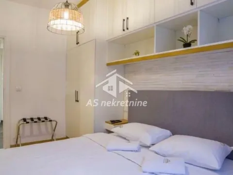 Izdavanje, dvosoban stan, 43m², Južni Bulevar, Vračar Sve Podlokacije - image 7