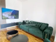 Izdavanje, dvosoban stan, 50m², Hala Pionir, Palilula Sve Podlokacije - image 1