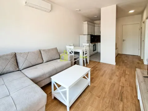Rent, one bedroom apartment, 45m², Berane, Crna Gora - image 10