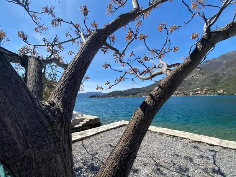 Prodaja, kuća, 200m², Tivat, Crna Gora
