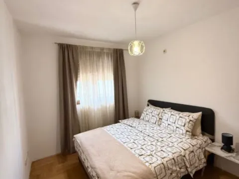 Izdavanje, jednosoban stan, 44m², Stari Aerodrom, Podgorica - image 2