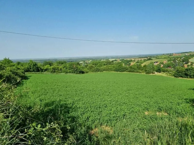 Prodaja, plac, 8400m², Sremski Karlovci, Novi Sad