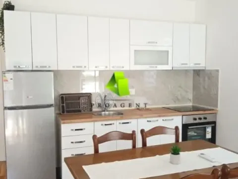 Izdavanje, dvosoban stan, 56m², Palilula, Niš - image 3