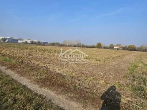 Prodaja, plac, 16235m², Centar, Smederevo - image 5