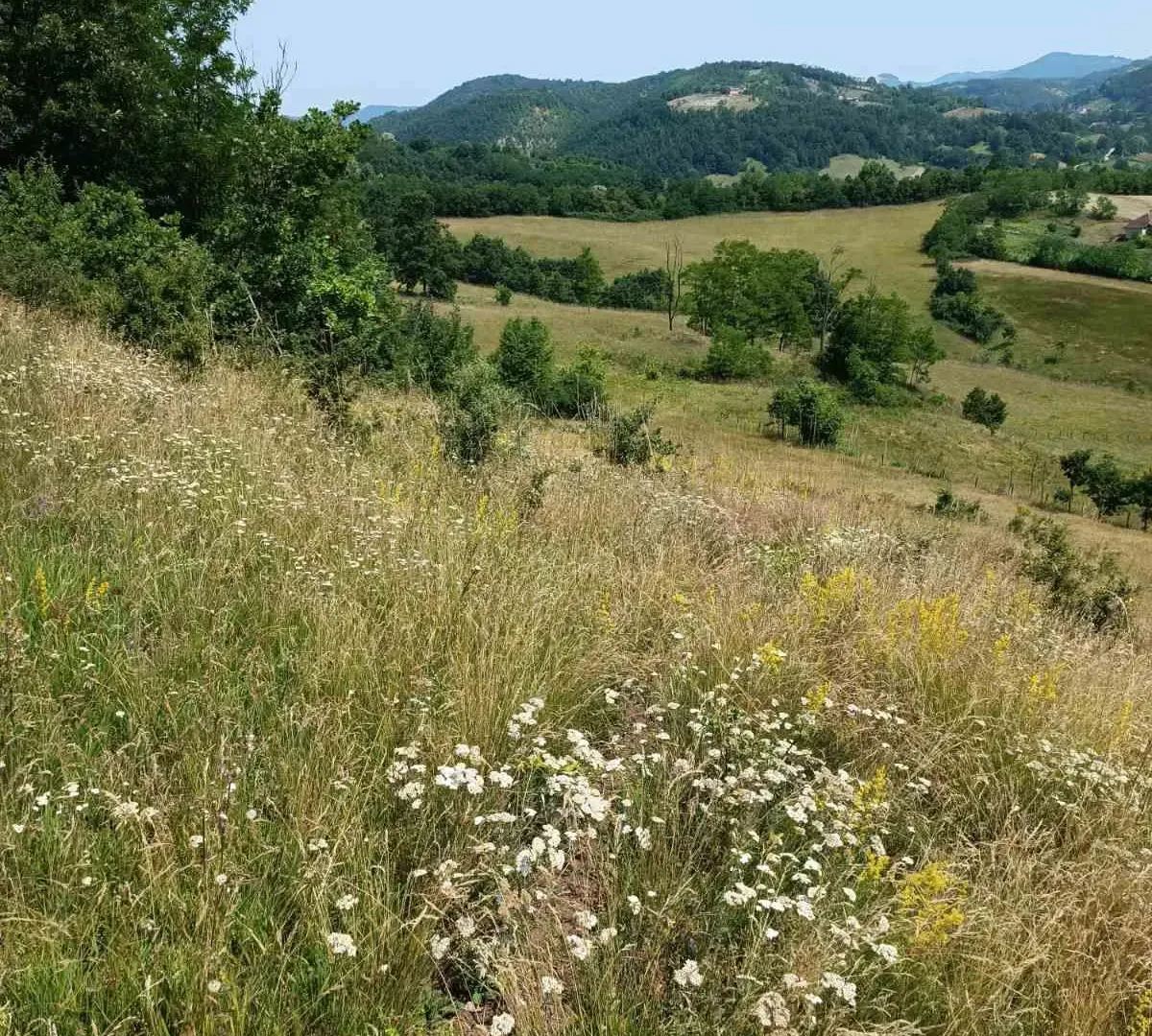 Prodaja, kuća, 360m², Ugrinovci, Gornji Milanovac
