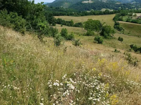 Prodaja, kuća, 360m², Ugrinovci, Gornji Milanovac - image 8