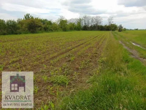 Sale, land lot, 5800m², Zvečka, Obrenovac - image 8