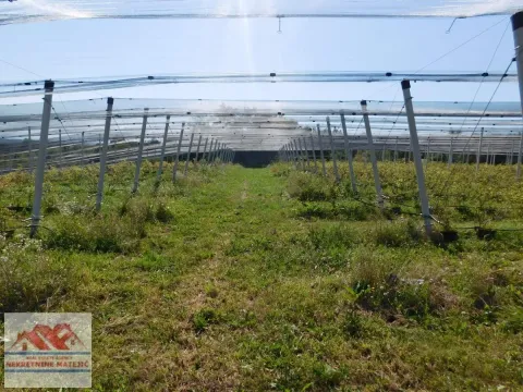 Sale, land lot, 350m², Kragujevac, Srbija - image 31