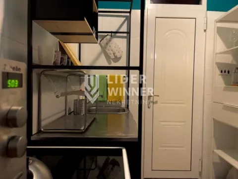 Izdavanje, dvosoban stan, 55m², Stari Grad, Beograd - image 7