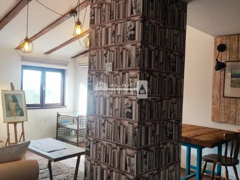 Izdavanje, dvosoban stan, 56m², Čukarica, Beograd - image 7