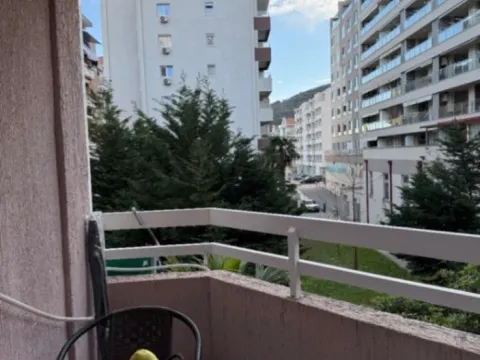 Izdavanje, garsonjera, 22m², Rozino, Budva - image 4