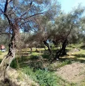 Land Lot for Sale, 500m2, Podi, Herceg Novi Land Lot for Sale, 500m2, Podi, Herceg Novi