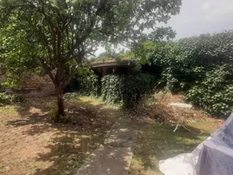 Prodaja, kuća, 250m², Čoka, Srbija - image 4