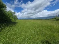 Sale, land lot, 10616m², Kosić, Danilovgrad - image 7