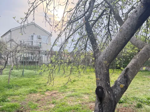 Prodaja, plac, 330m², Doljani, Podgorica - image 3