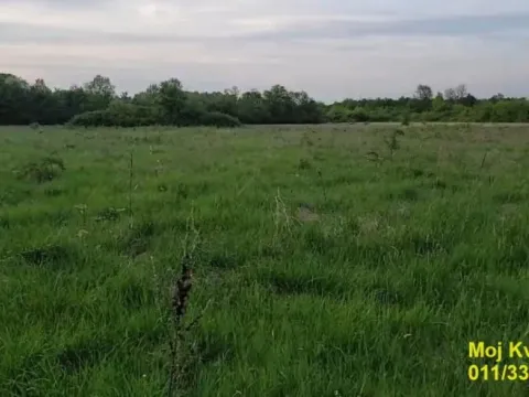 Prodaja, plac, 5400m², Draževac, Obrenovac - image 2