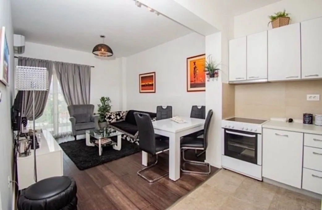 Rent, one bedroom apartment, 48m², Vezirov Most, Podgorica