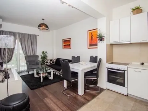 Izdavanje, jednosoban stan, 48m², Vezirov Most, Podgorica - image 6