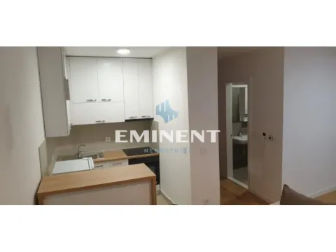 Rent, apartment, 28m², Novi Beograd Blok 65, Novi Beograd Sve Podlokacije - image 4
