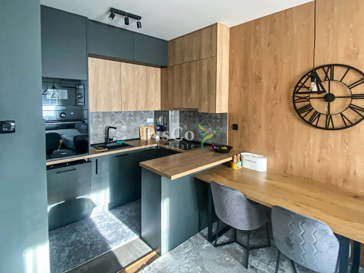 Rent, one bedroom apartment, 47m², Ljubović, Podgorica